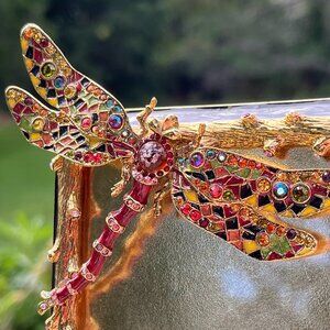 Jay Strongwater Dragonfly Picture Frame